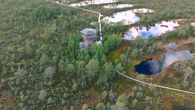 Aerial view of Viru bog, nature park (Viru raba) with wooden boardwalk and observation tower, showing peat lakes, bog landscape and pine forest in Estonia.