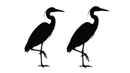 Two elegant herons standing in profile a striking black silhouette © Hiron