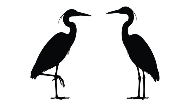 Two elegant herons standing gracefully facing each other a striking silhouette