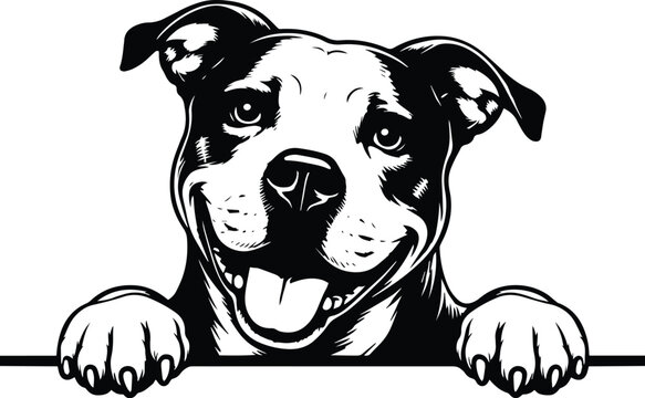 Peeking Pitbull Dog - Pitbull Face Peeking Design - American Staffordshire Terrier Clipart - Peeking American Pitbull - Dog Lover Design - Playful Pitbull Face