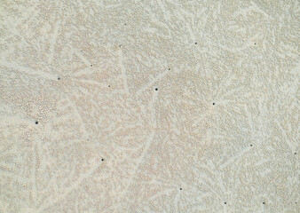Circular sand patterns created by sand bubbler crabs while feeding on wet beach sand, forming thousands of tiny pellets that resemble natural coastal artwork.