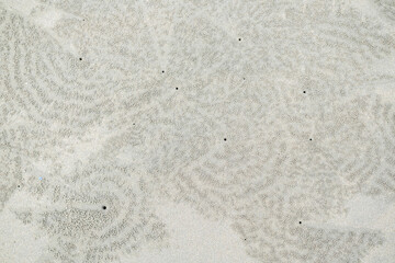Circular sand patterns created by sand bubbler crabs while feeding on wet beach sand, forming thousands of tiny pellets that resemble natural coastal artwork.