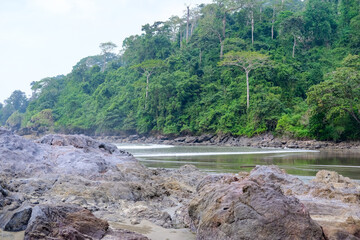 Rajegwesi Beach in Meru Betiri National Park showcases a stunning meeting of dense tropical...