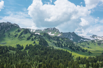 Vivid green scenery with forest hills and high rock mountain peak with snow under lush clouds in blue sky. Coniferous trees on pass and big sharp rocky mountains with sheer crags in cloudy weather.