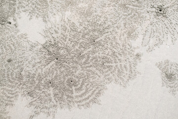 Circular sand patterns created by sand bubbler crabs while feeding on wet beach sand, forming thousands of tiny pellets that resemble natural coastal artwork.