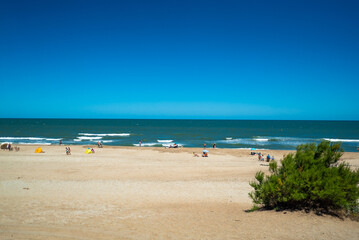 A beach with a lot of people and a tree in the background