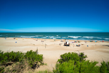 A beach with a lot of people and a tree in the background