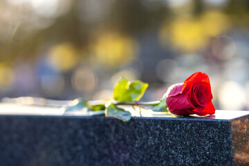 Red rose lying on a monument in a cemetery at sunset. Memory of the deceased. Expression of love
