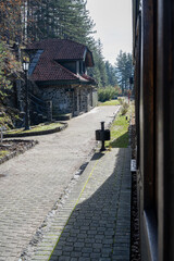 A close perspective from the side of an old green train carriage reveals railway tracks and a leafy forest setting on a sunny day. 