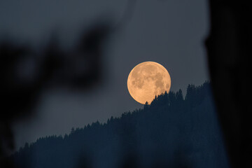 the january super moon is setting over the mountains with tree silhouettes at morning