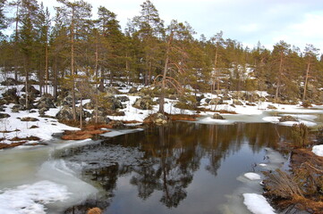A mountain tundra landscape in Lapland in late spring, with snow still on the ground.
