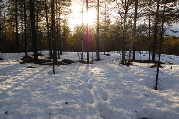 A mountain tundra landscape in Lapland in late spring, with snow still on the ground.