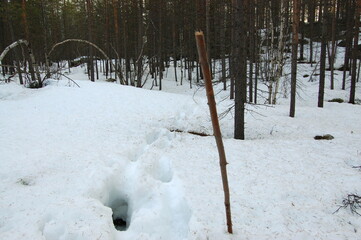 A mountain tundra landscape in Lapland in late spring, with snow still on the ground.
