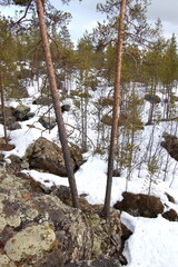 A mountain tundra landscape in Lapland in late spring, with snow still on the ground.