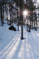 A mountain tundra landscape in Lapland in late spring, with snow still on the ground.