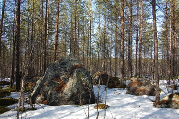 A mountain tundra landscape in Lapland in late spring, with snow still on the ground.