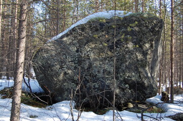 A mountain tundra landscape in Lapland in late spring, with snow still on the ground.