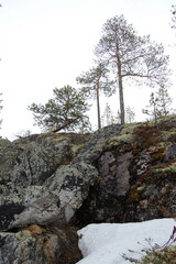 A mountain tundra landscape in Lapland in late spring, with snow still on the ground.