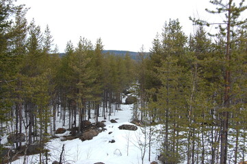 A mountain tundra landscape in Lapland in late spring, with snow still on the ground.