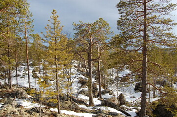 A mountain tundra landscape in Lapland in late spring, with snow still on the ground.