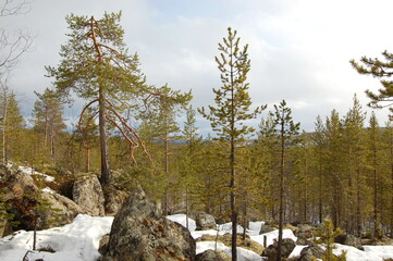 A mountain tundra landscape in Lapland in late spring, with snow still on the ground.