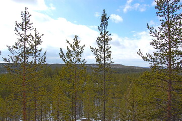 A mountain tundra landscape in Lapland in late spring, with snow still on the ground.