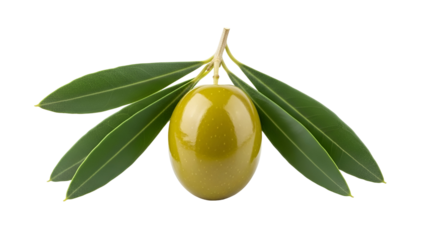 Green Olive with Leaves Isolated on White Background
