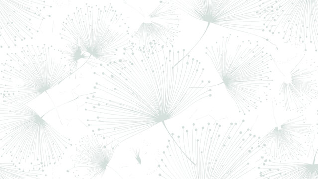 Subtle and elegant pattern of light gray stylized dandelion seed heads with fine lines and dots on a very light background.