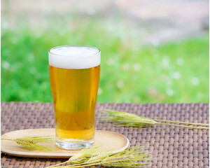 Golden Beer Glass with Barley on Wooden Tray