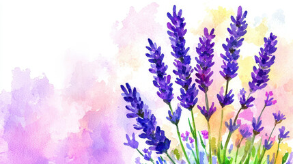 Watercolor painting of lavender flowers with vibrant purple hues and soft pastel background, evoking serene and calming atmosphere
