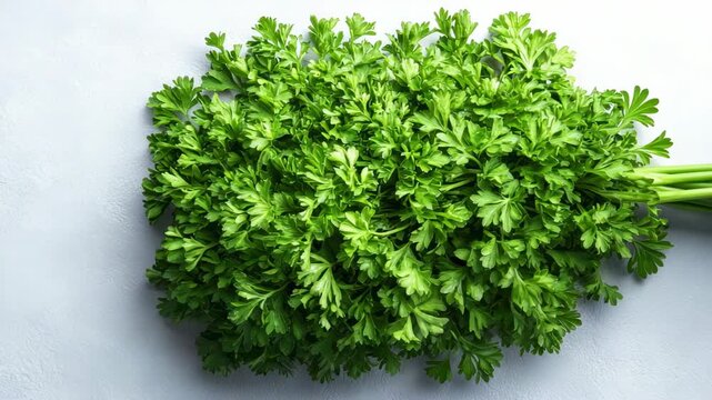 Fresh parsley placed on a white surface prepared for cooking and garnishing in a kitchen
