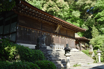 宇治上神社　国宝本殿(京都府宇治市)
