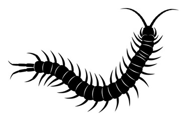 Centipede Silhouette - Minimalist Vector Illustration