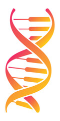 DNA Helix Double Strand Illustration with Gradient Colors for Science and Biotechnology