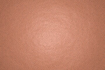 Fototapeta premium Leather texture, flat view. The name of the color is light salmon