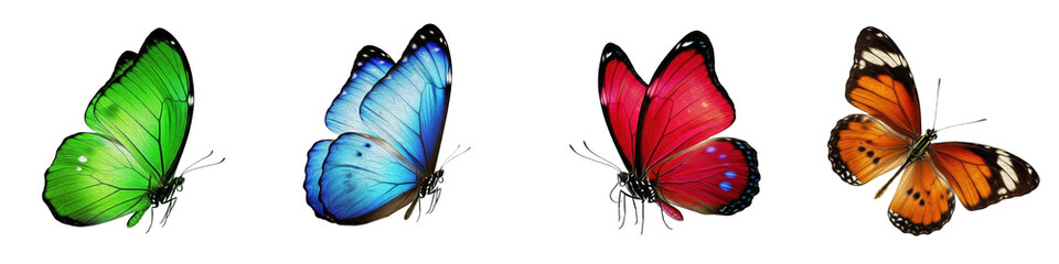 butterfly set, isolated colorful butterflies in green blue red orange, realistic 3d monarch and tropical butterfly collection, flying insect design elements, png © Jhon .F Kennedy 