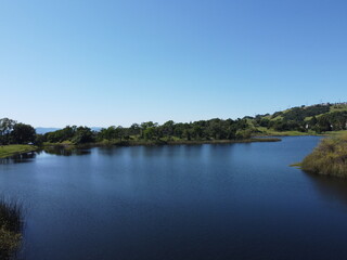 Fototapeta premium LAGO CON BOSQUE.