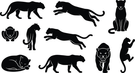 Big cat and monkey silhouettes, wild animal poses, jungle vector art, predator and primate design, nature illustration set © Mahamudul