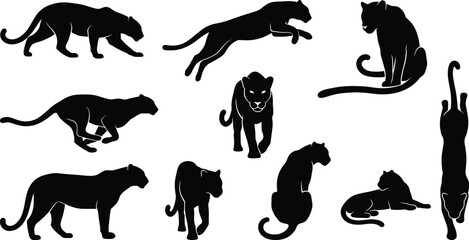 Big cat silhouette set, panther poses, leopard vector graphic, crouching feline icon, running wild cat illustration, sitting panther clipart, lying leopard design, feline motion study © Mahamudul