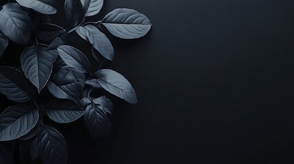 Textures of abstract black leaves for tropical leaf background. Flat lay, dark nature concept, tropical leaf, digital leaf