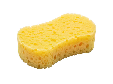 Close Up View of Porous Yellow Sponge Isolated on Black Background