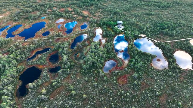 Aerial view of Viru bog, nature park (Viru raba) with wooden boardwalk and observation tower, showing peat lakes, bog landscape and pine forest in Estonia.