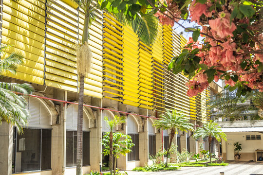 IFG - Instituto Federal de Goi&aacute;s. A faculdade vista entre flores.
