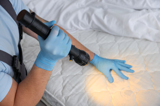 Pest control worker examining bed with flashlight indoors, closeup