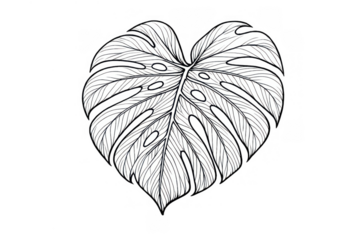 Monstera deliciosa tropical plant leaf line art, heart shape drawing, split-leaf philodendron, botanical pattern
