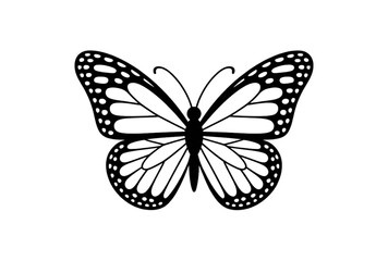 Obraz premium Elegant butterfly silhouette with detailed wings on white