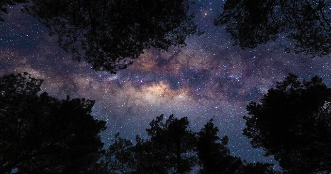 Beneath the open sky and Milky Way from forest. Timelapse shot, Earth rotation concept. Camera is zooming in, moving top left. Wide angle lens shot
