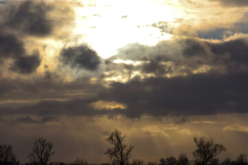 Dramatic sunset sky with sunbeams breaking through dark, moody clouds over silhouetted trees