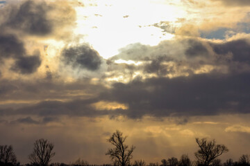 Dramatic sunset sky with sunbeams breaking through dark clouds over silhouetted trees