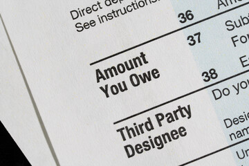 A close up of IRS form 1040 with focus on Amount You Owe section